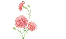 不易察觉的幸福——灯光里的母爱