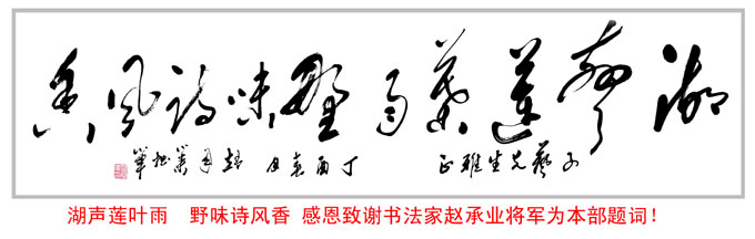 让“单翼天使”不再孤独 - 阅读“生活的诗歌”