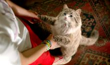 观《九条命》有感