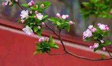 在沉淀中遇见最好的自己