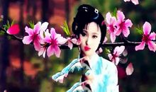 谁能道尽那丝悲凉无奈