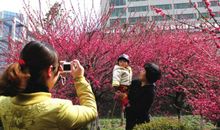 春天毕竟还是春天