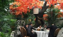 栀子花开人未归