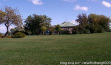 乡间，那一片绿荫