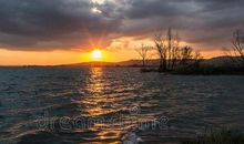 去阴暗发现美好