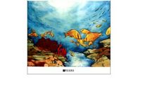 读《我的山野朋友》有感