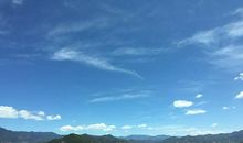 不一样的美更珍贵