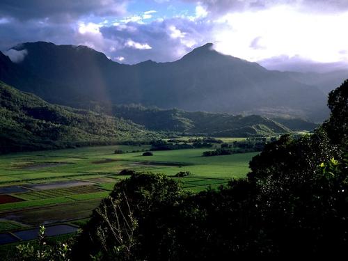 这个平静的生活