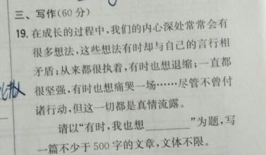 我母亲的作文高中