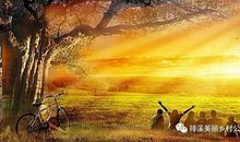 与诚信一起走过的日子