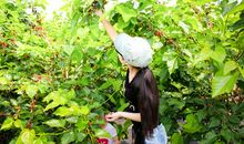 体验过程的乐趣