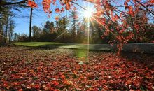 倾听绚烂秋景的美