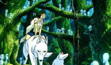 我以我眼看世界