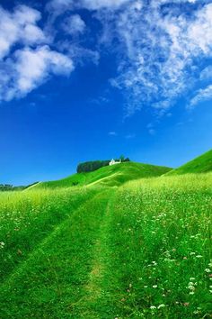 生活荒野