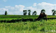 留住心中一方净土