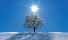 冬的温暖尽存心底