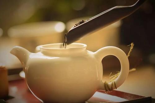一个18岁的茶