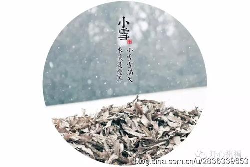 今天雪