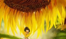 抱不住月亮的向日葵