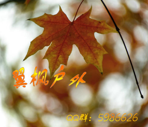 阳光下的声音