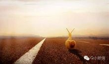 生活不会苛待如此努力的你