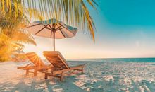 我就是想做一粒砂