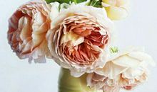 等待阳光——读《简·爱》有感