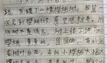 我的高中老师作文800字