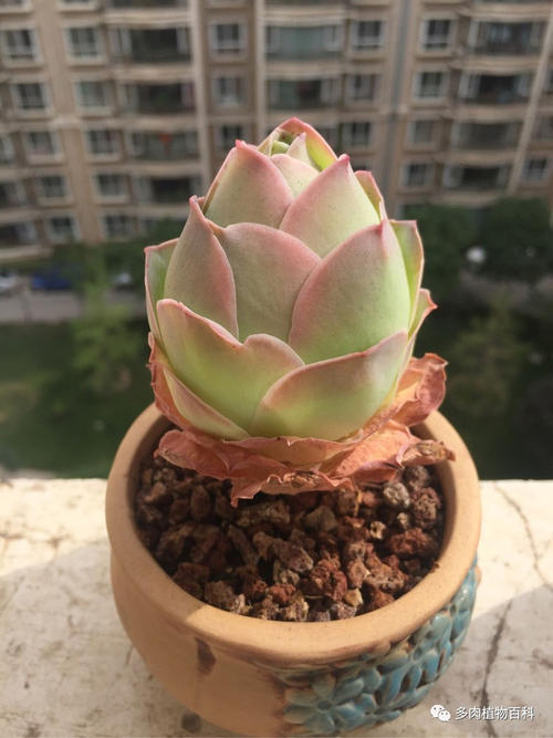 此时