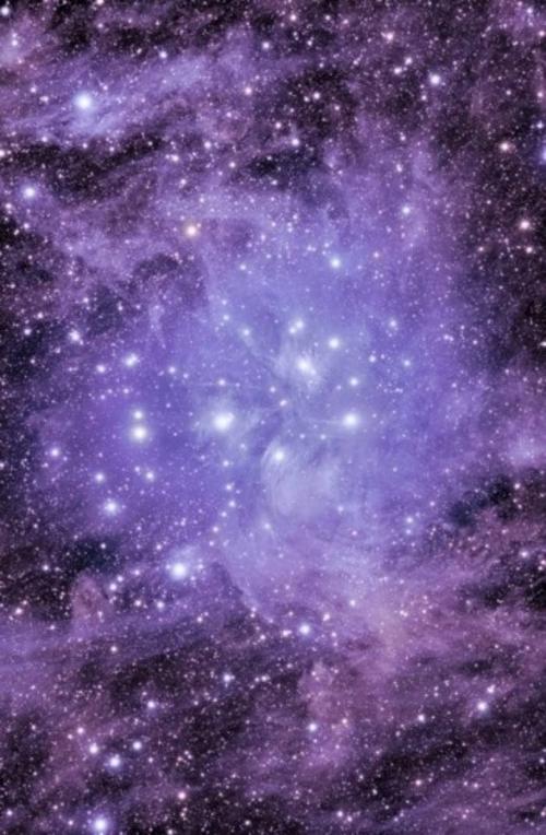 明星梦想