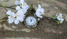 风雨陪伴的人生