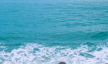 我错过一簇浪花