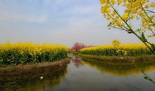 享受大自然的乐趣