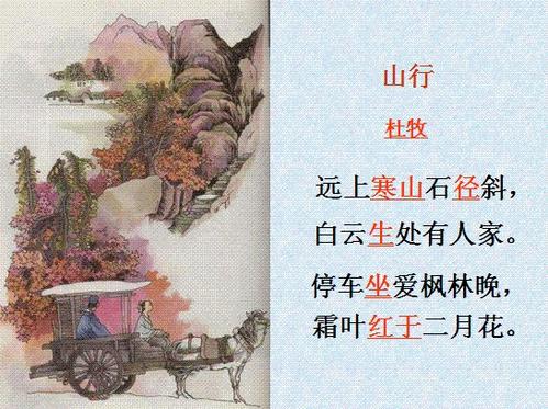 中国诗歌和我