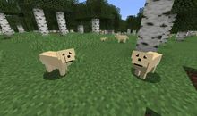 唯一使世界单调