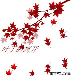落叶鼓励