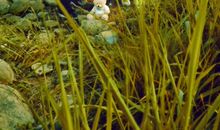 奔走在爱的旅途