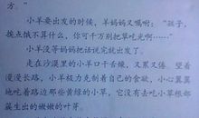 我家的一张旧照片作文500字