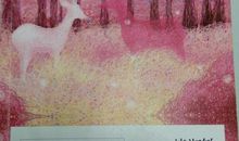 温柔就是能够对抗世界所有的坚硬读后感