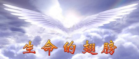 带我和你的童话翅膀