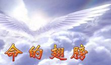 用你的童话翅膀带我飞