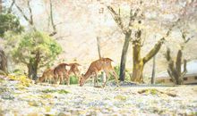 我们都曾被世界温暖过