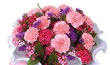 花映上梦想的脸庞