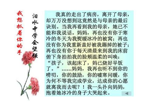 周末的品味组成