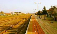 追寻那渐行渐远的声音