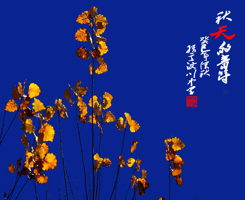 秋季笔记