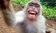 留在我生命中的那个微笑