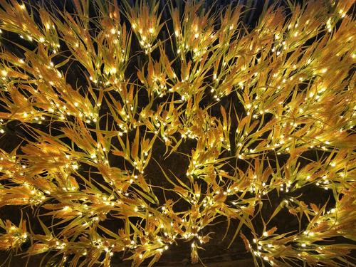 感受一天的感情