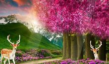 牵挂是一种美丽