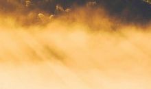 能再回到那梦里去吗？